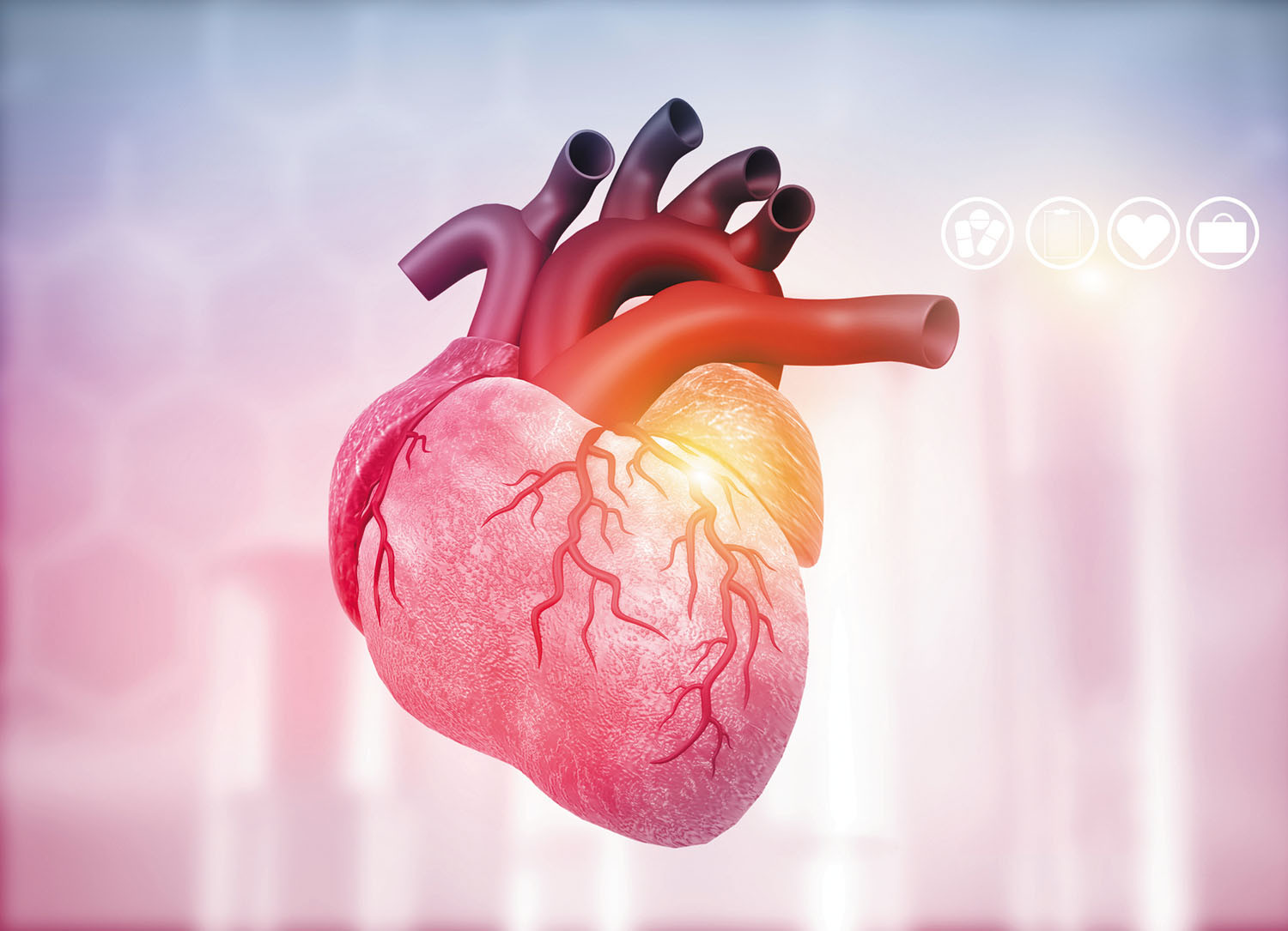 Look Inside Your Heart Harvard Health
