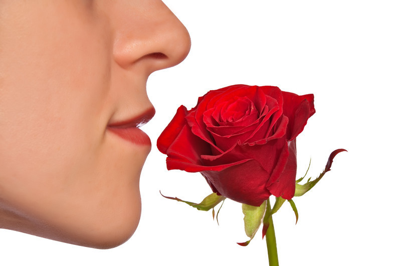 nose-smell-rose