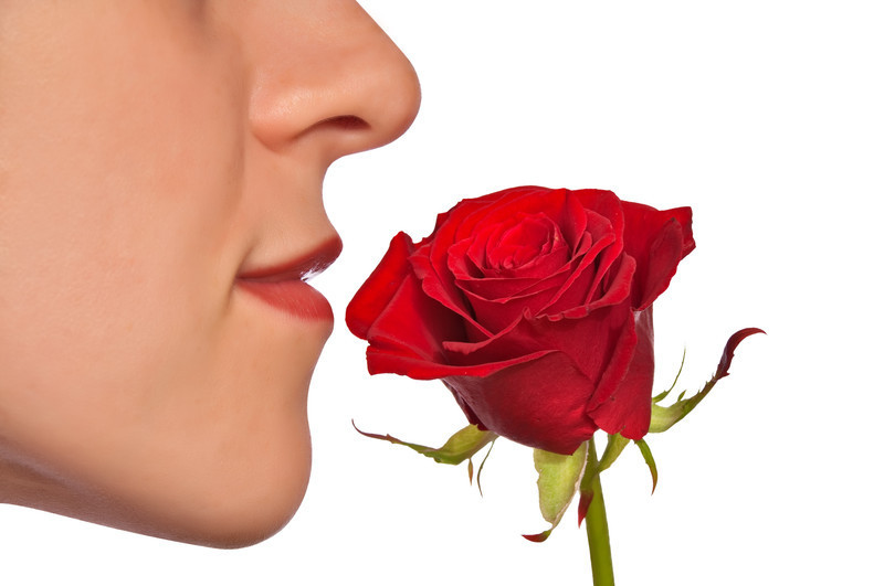 Smell disorders When your sense of smell goes astray Harvard Health