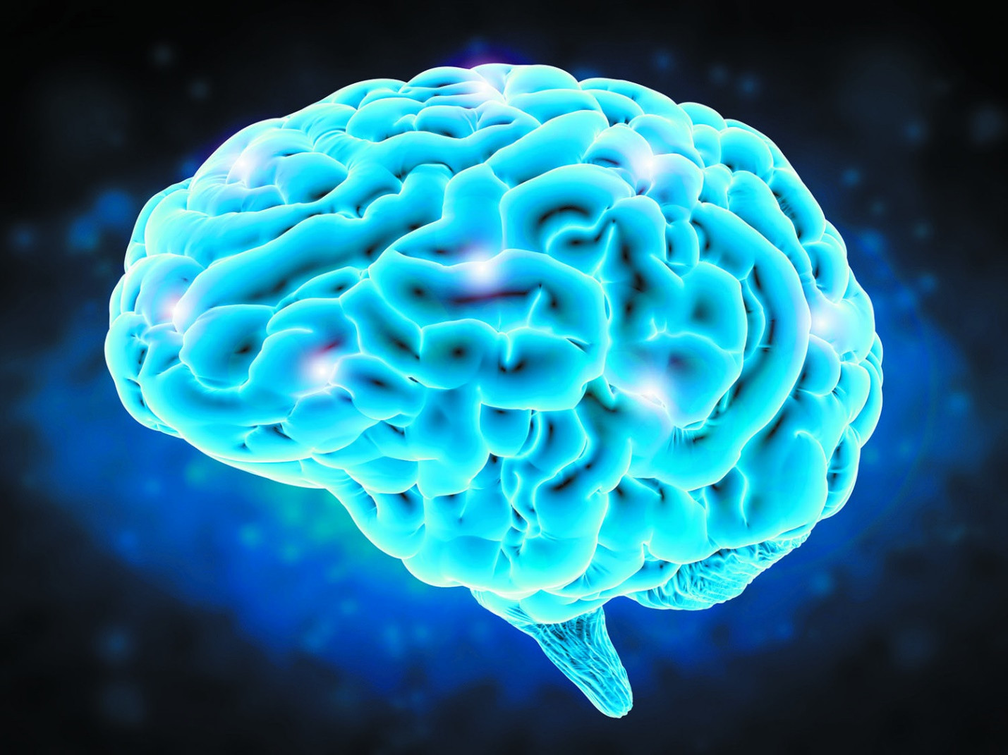 Brain Sciences December 2021 - Browse Articles