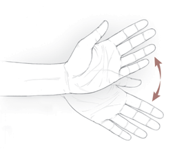 An illustration of the wrist ulnar/radial deviation exercise.