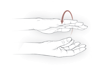 An illustration of wrist supination/pronation exercise.