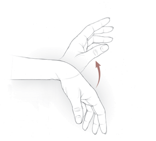 An illustration of the wrist extension and flexion exercise.