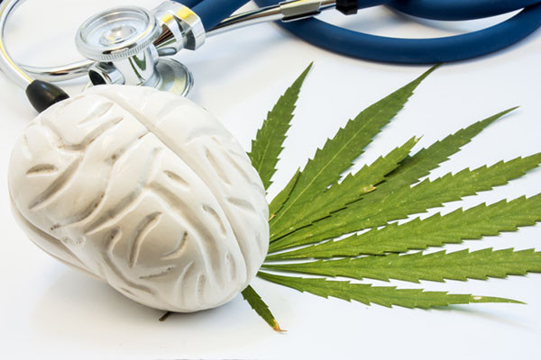 photo d'un petit modèle d'un cerveau humain reposant sur une feuille de cannabis, avec un stéthoscope derrière eux