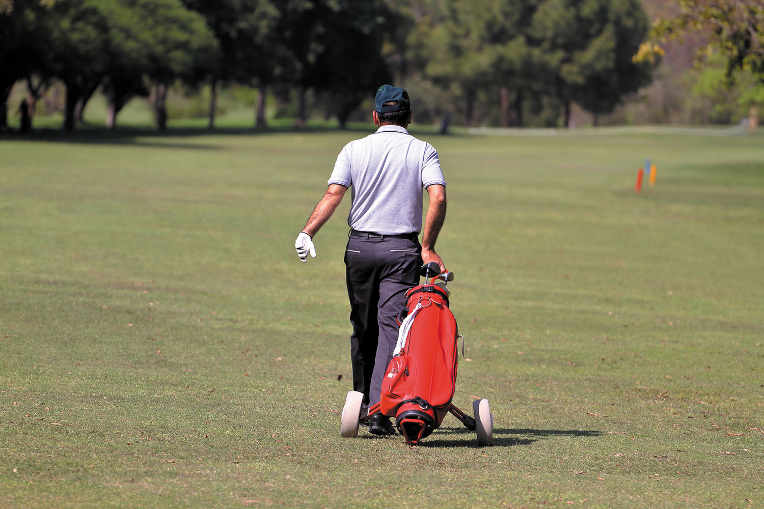 photo of a man viewed from behind as he walks on a golf course, pulling his bag of clubs behind him on a wheeled cart