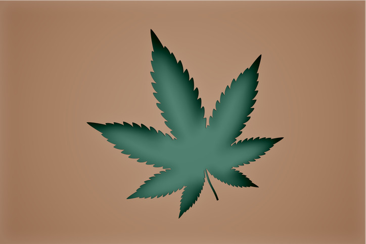 Fond marron avec des feuilles de marijuana vertes coupées au premier plan