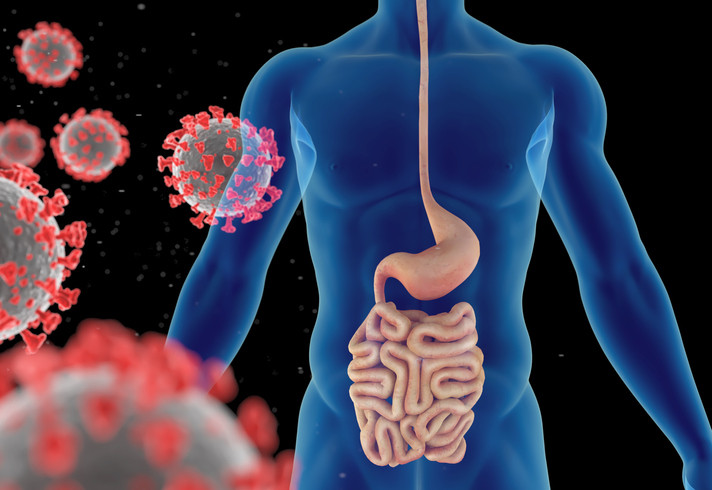 Illustration 3D montrant des particules virales flottantes en rouge et blanc à gauche et au centre d'un corps masculin humain 3D bleu au milieu avec le système gastro-intestinal mis en évidence dans des couleurs rosâtres 