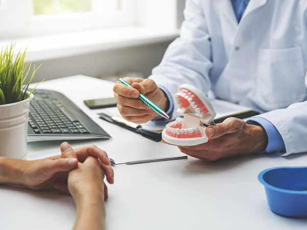 A dentist holding a model of human teeth, discussing with a patient