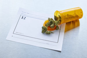On top of a prescription slip, a pill bottle is on its side with medical marijuana spilling out of it