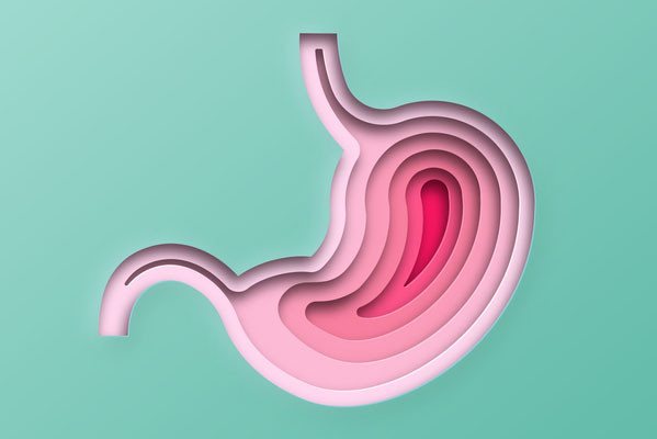 Layered 3-D cut-outs of a stomach in colors ranging from light to dark pink against a light green background