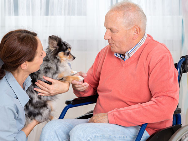 senior man in a wheelchair interacting with a small dog held by a care facility staff member