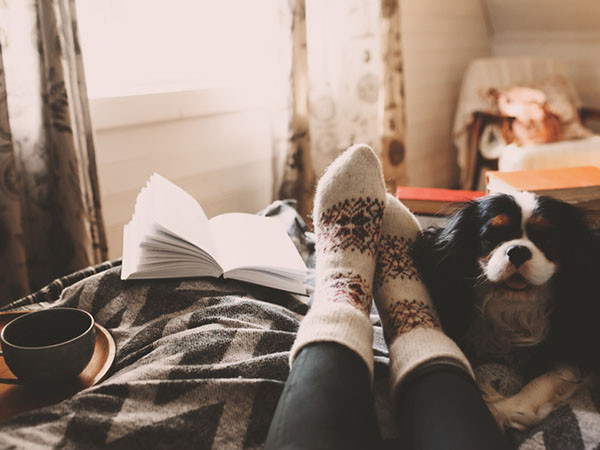 Knitted socks on the feet of a girl lying on her bed. To the right of her feet is a dog, to the left is an open book, and a cup of tea on a tray