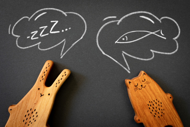 A wooden toy bunny and cat with thought bubble drawn on a blackboard above suggesting sleep and good dreams