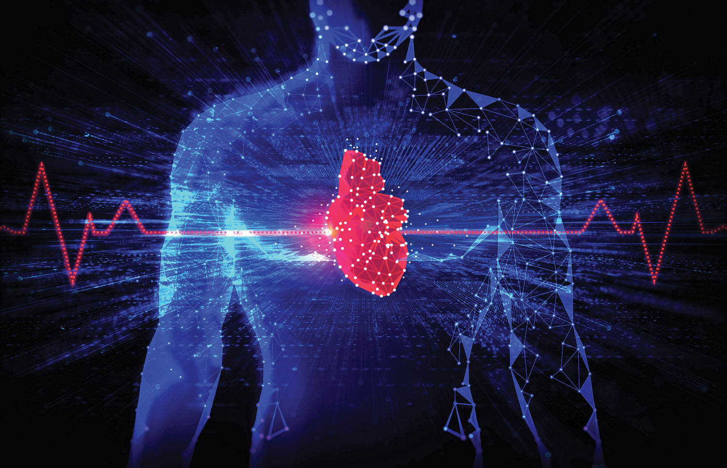 three-dimensional illustration of a human body in blue against a black background, with the heart highlighted in red