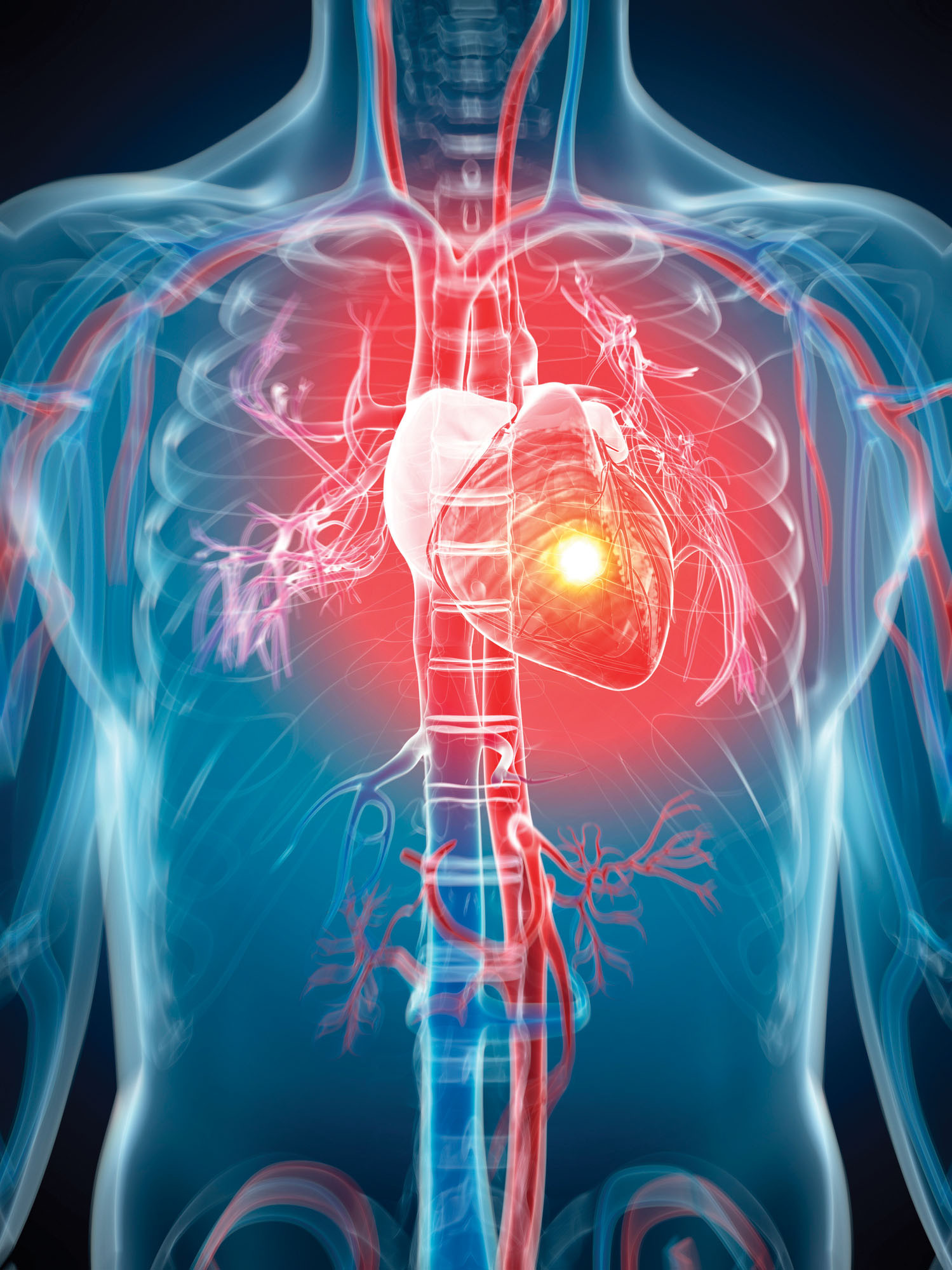 photo-illustration of a human torso showing a transparent body and a glowing red heart
