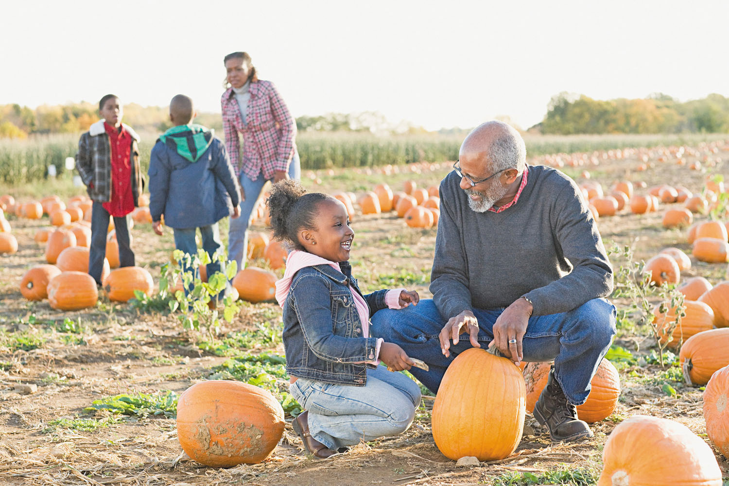 photo of grandfather and granddaughter choosing a pumpkin in a pumpkin patch; grandmother and two other grandchildren watch in the background