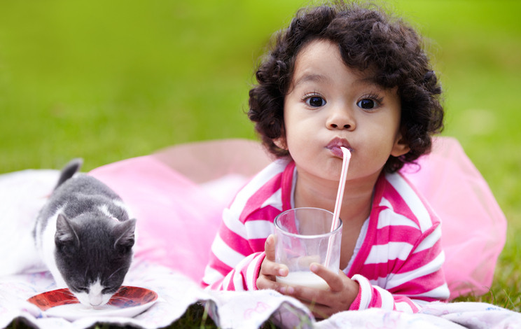 Toddler with curly, brown hair drinking milk through through straw, on blanket outdoors, next to gray and white cat with saucer of milk 
