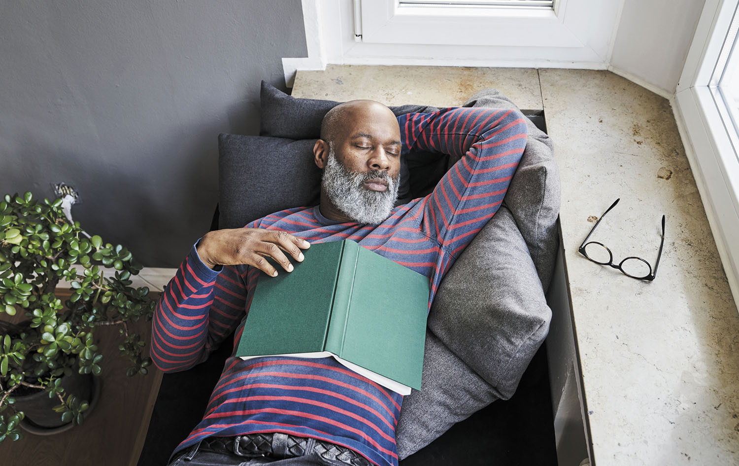 photo of a mature man sleeping on a couch with a book on his chest