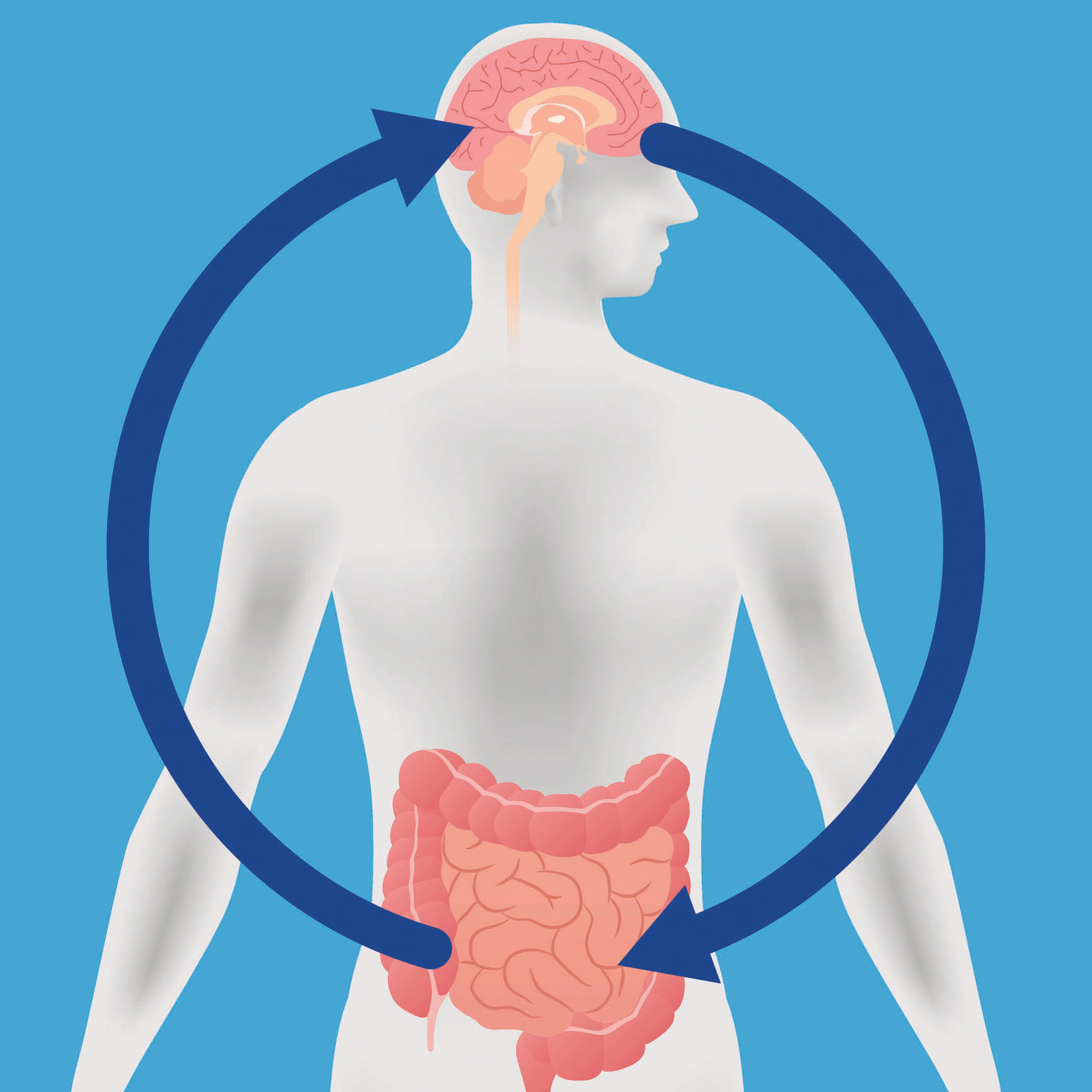 illustration of a human body overlaid with arrows showing the relationship between brain and gut in both directions