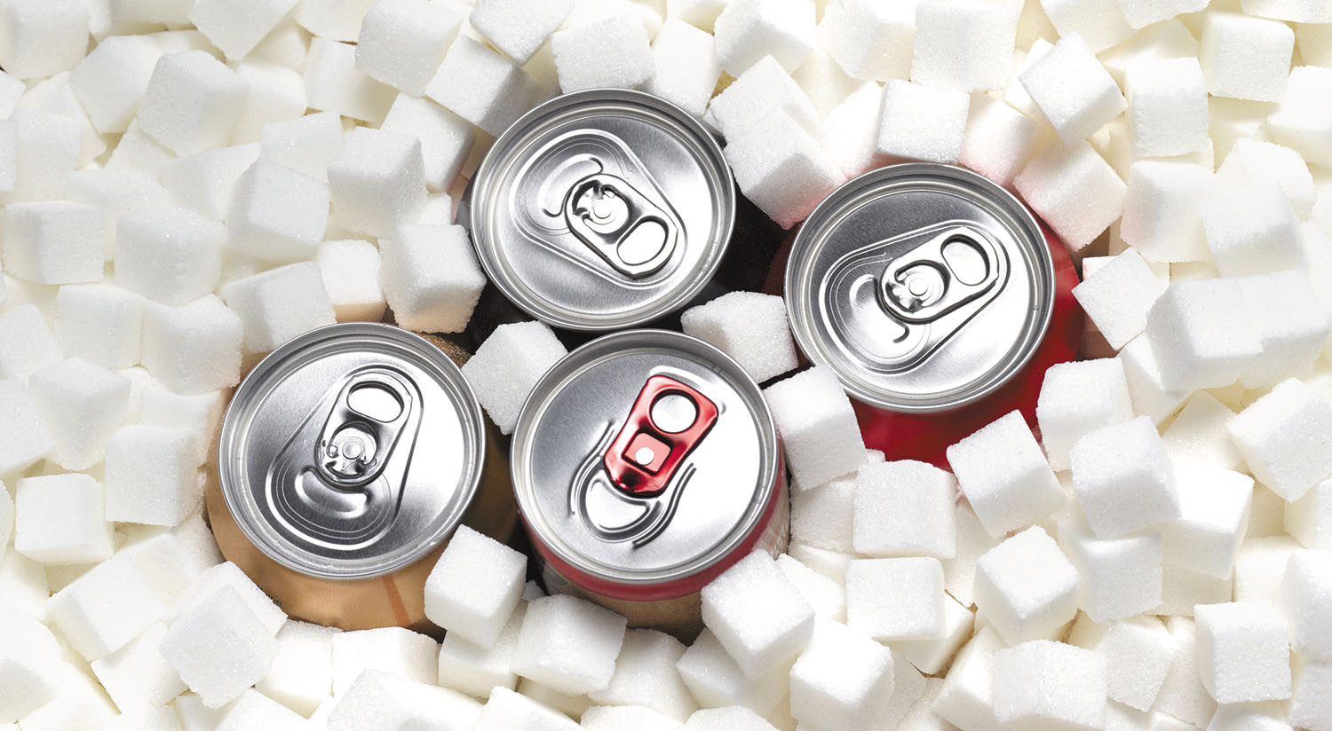 photo looking down on the tops of four soda cans clustered together and surrounded by sugar cubes