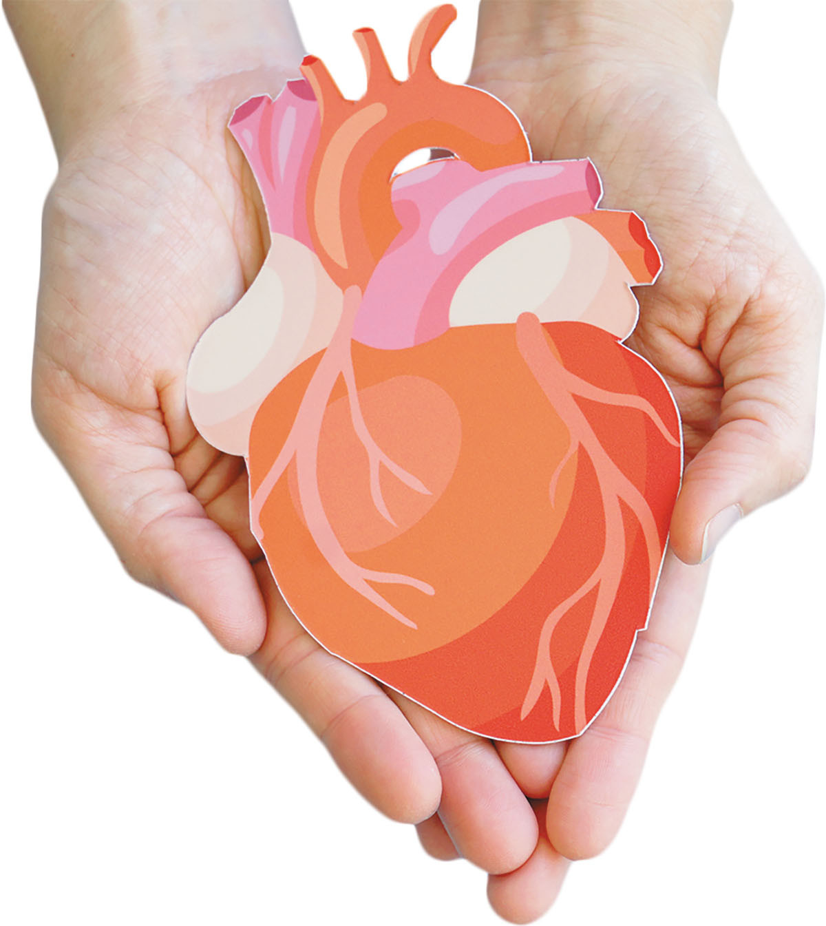 photo of a pair of hands holding a multicolored paper illustration of a human heart