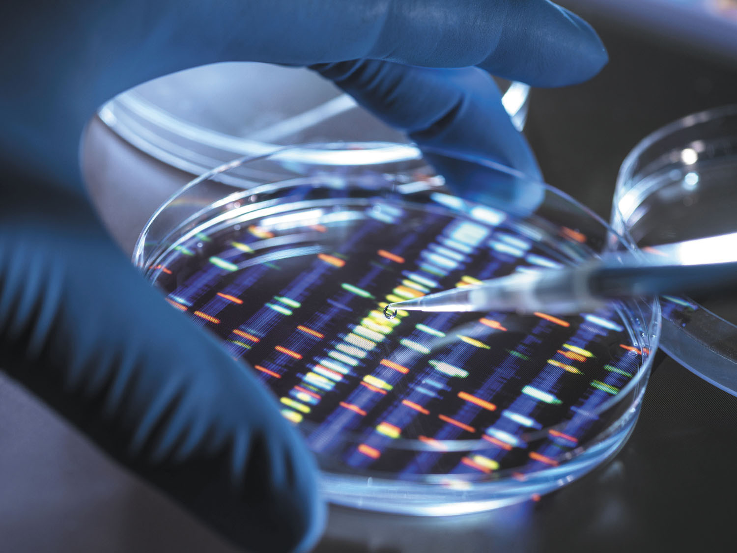 tightly cropped photo of gloved hands holding a petri dish and a syringe, putting a drop of genetic material in the dish; under the dish is a colorful rendering of genetic sequencing