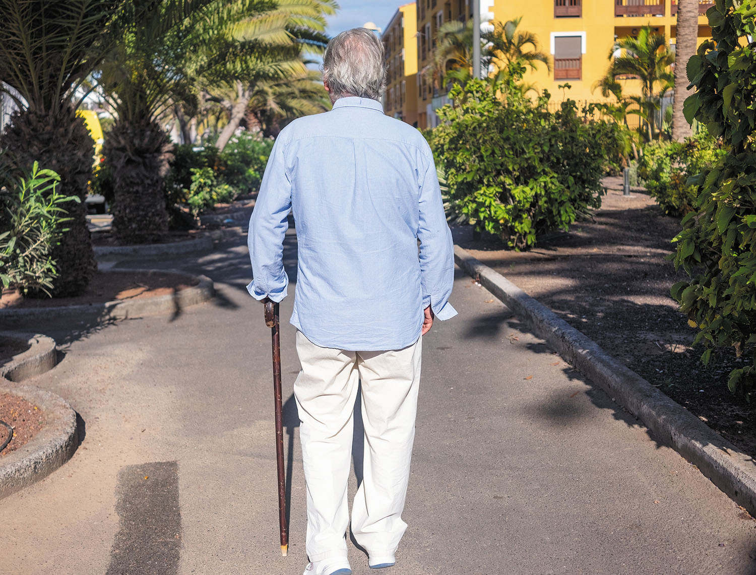 photo of a man walking with a cane, viewed from behind