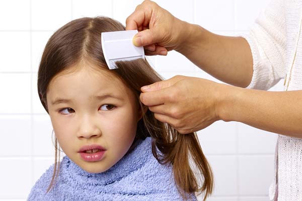 photo of a girl with straight hair, adult's hands are visible holding a comb and using it on the child's hair to remove lice