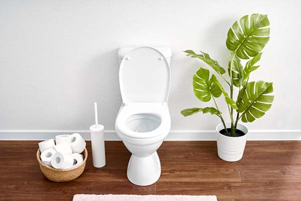 photo of a bathroom showing a white toilet with a basket holding toilet paper rolls and a cleaning brush canister next to it; on the other side of the toilet is a tall plant in a white pot