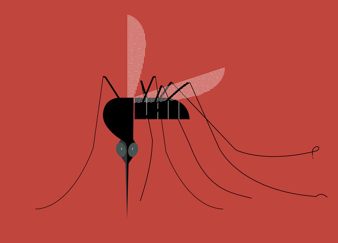 Black and white art of a mosquito ready to bite against a red background; concept is dengue fever, mosquito-borne illness