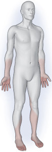 illustration of areas of the body affected by peripheral neuropathy