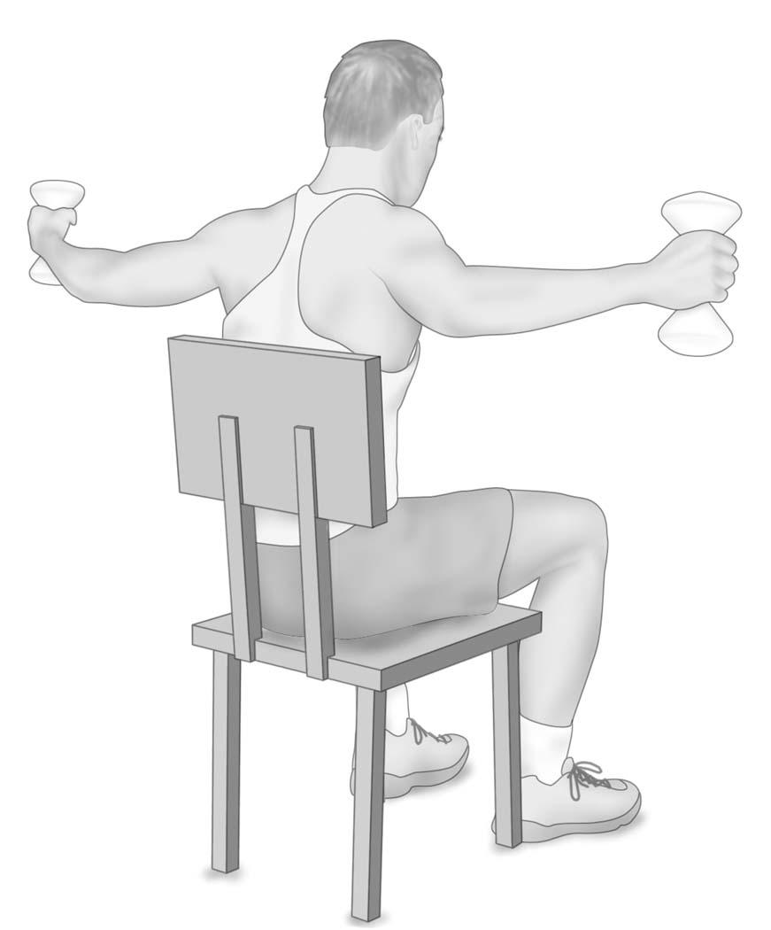 illustration of a person performing the reverse fly exercise as described in the article