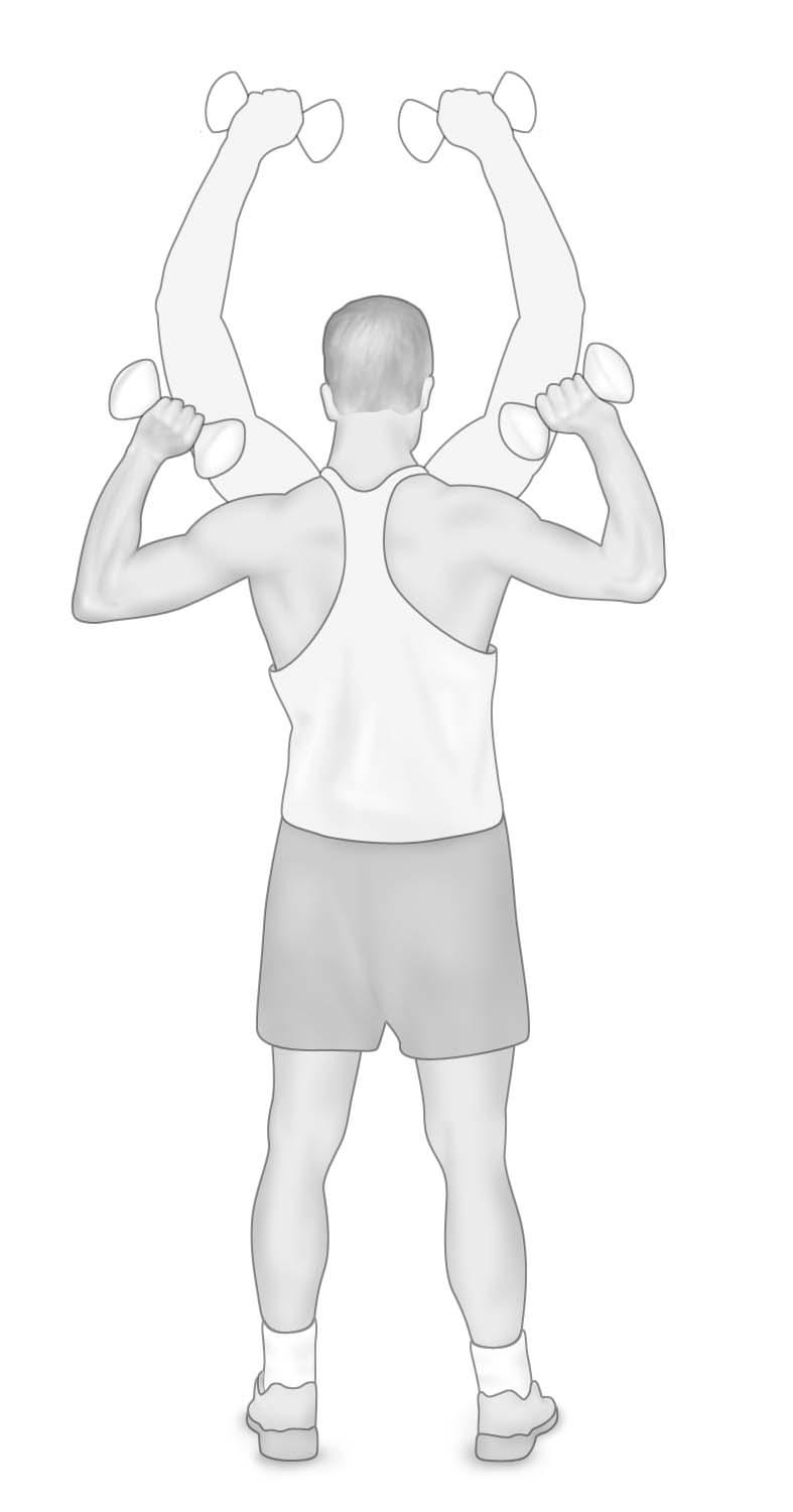 illustration of a person performing the overhead press exercise as described in the article