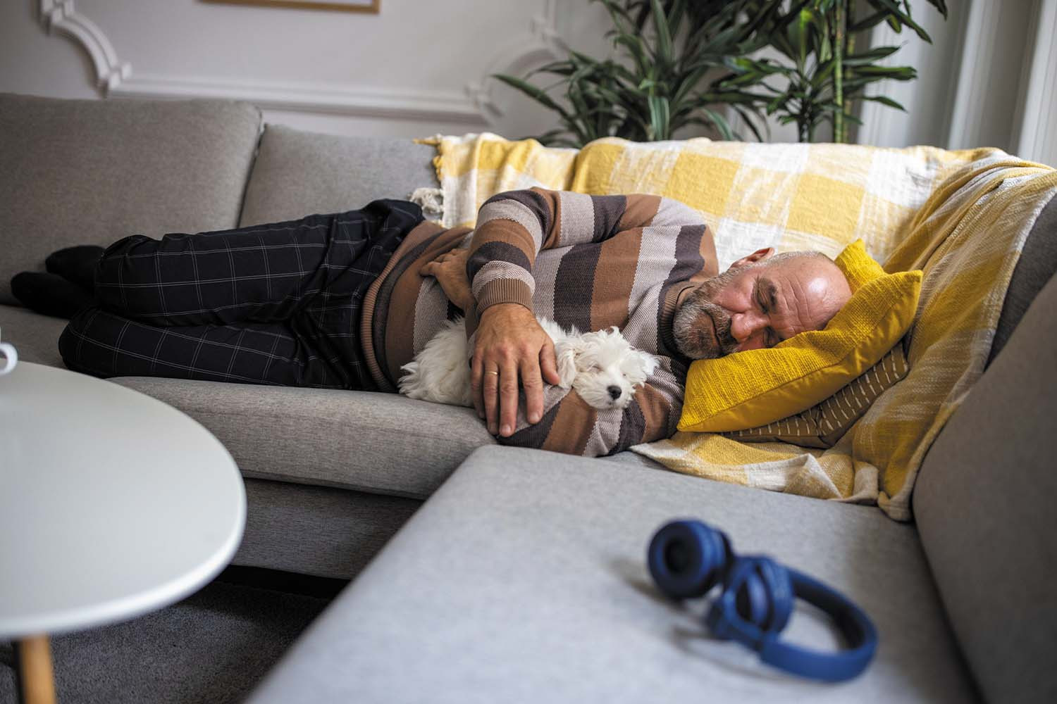 photo of a mature man sleeping on his side on a couch; a small white dog is tucked between his arm and torso and is also sleeping